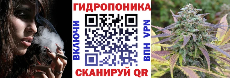 Каннабис сатива Купить закладки Далматово